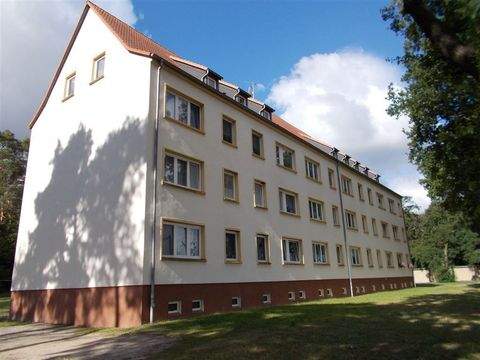 Elsnig Wohnungen, Elsnig Wohnung mieten