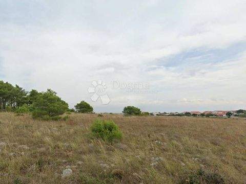 Vir Bauernhöfe, Landwirtschaft, Vir Forstwirtschaft