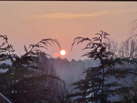 Sonnenaufgang.jpg