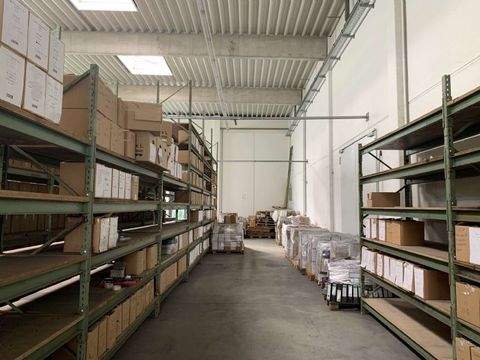 Mörfelden-Walldorf Halle, Mörfelden-Walldorf Hallenfläche