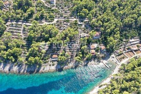 Vela Luka Bauernhöfe, Landwirtschaft, Vela Luka Forstwirtschaft