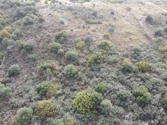 Kreta, Douliana : Atemberaubendes Grundstück mit Meerblick zu verkaufen