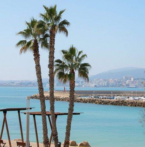 Palma Wohnungen, Palma Wohnung kaufen