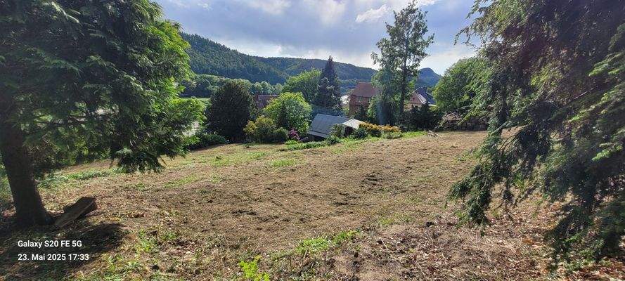 Blick vom oberen Grundstücksteil.jpg