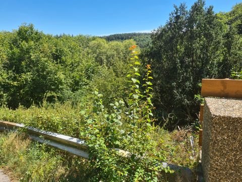 Heiligkreuzsteinach Grundstücke, Heiligkreuzsteinach Grundstück kaufen