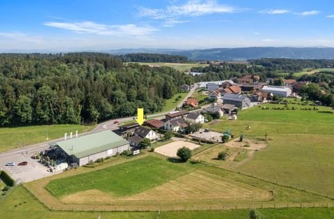 Hörhausen Bauernhöfe, Landwirtschaft, Hörhausen Forstwirtschaft