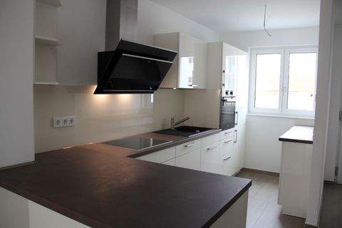 Wiesbaden (Künstlerviertel) Häuser, Wiesbaden (Künstlerviertel) Haus mieten 