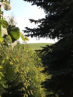 Wohnen im  schönen Erzgebirge