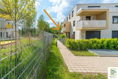 Wien Wohnungen, Wien Wohnung mieten