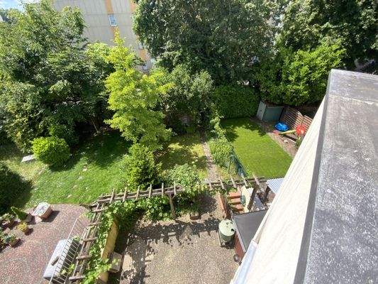 Blick in den Garten