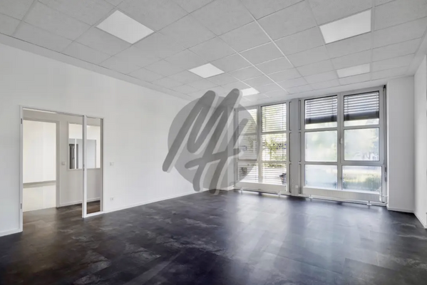 INFOS UNTER: 06171-586000