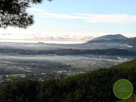 Zwischen Faszination und Wahnsinn! 