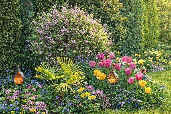 Gartenglück im Frühling