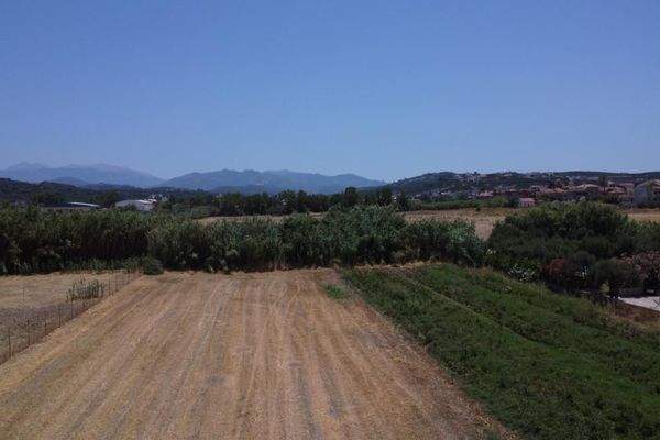 Kreta, Tavronitis: Ausgezeichnetes Grundstück in Meeresnähe zum Verkauf