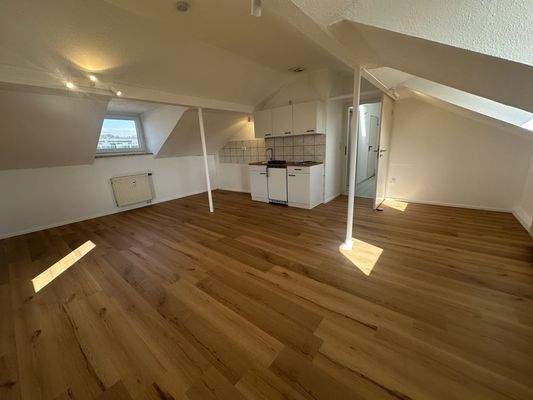 Wohn-Schlaf-Kochbereich (1)