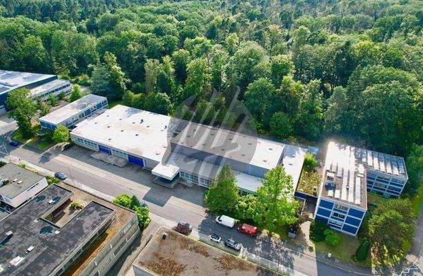 INFOS UNTER: 06171-586000