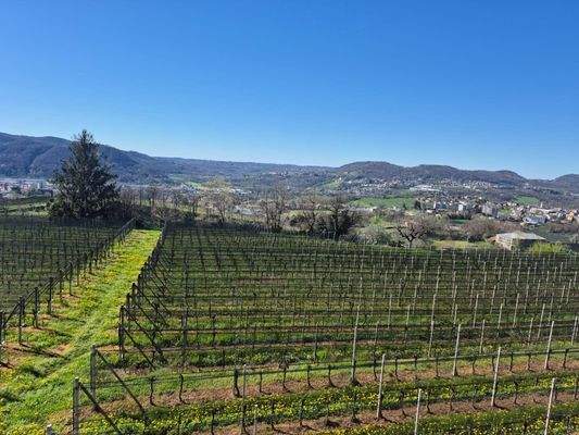 vista piano terra.jpg