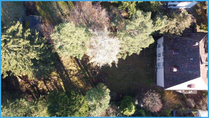 Blick übers Grundstück