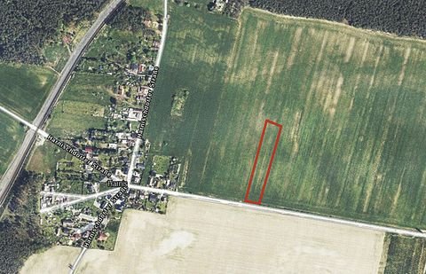 Neuhausen/Spree Bauernhöfe, Landwirtschaft, Neuhausen/Spree Forstwirtschaft
