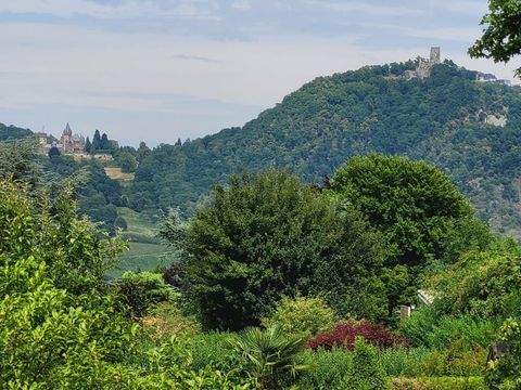 Bonn-Mehlem/Rodderberg Häuser, Bonn-Mehlem/Rodderberg Haus kaufen