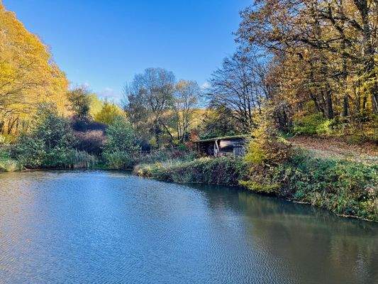 kleines Grundstück am See - unweit des Hauses gelegen