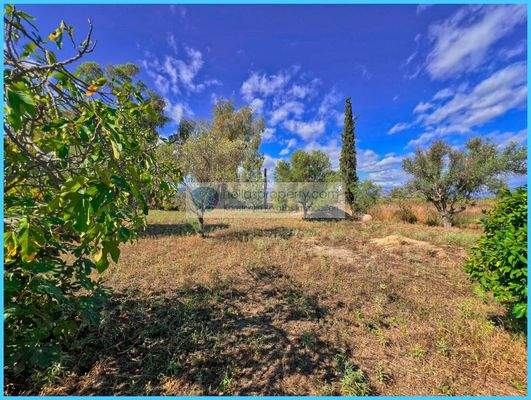 e568669403e64634893fa0bc2388de2c-original