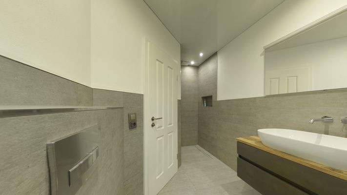 Gäste-WC mit Dusche EG