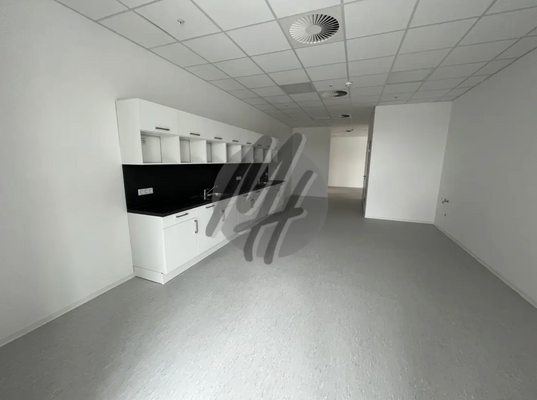 INFOS UNTER: 06171-586000