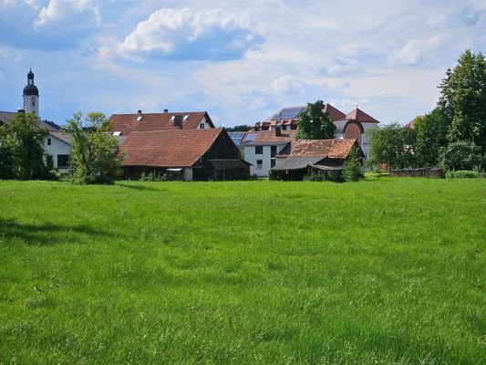 Zentrumsnah und dennoch mitten im Grünen