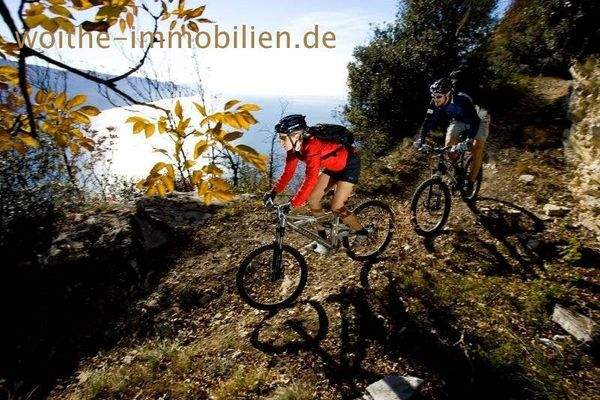 Aktivitäten in der Umgebung