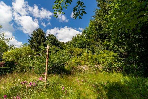 2 Grundstücke in guter Lage!