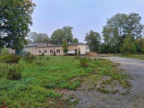 Mühltroff Halle, Mühltroff Hallenfläche