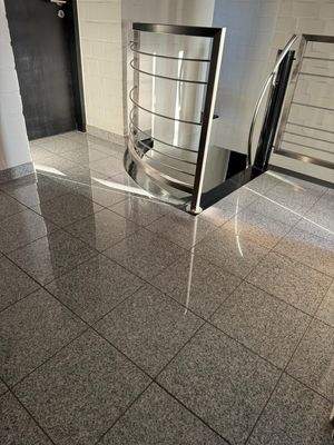 WhatsApp Image 2024-10-25 at 13.19.52(16).jpeg