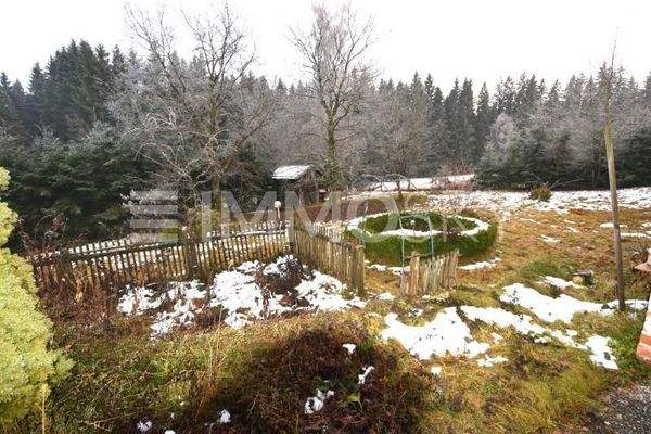 großzügiger Garten