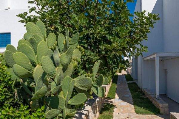 Kreta, Asprouliani: Schönes Haus in toller Anlage mit Meerblick zu verkaufen