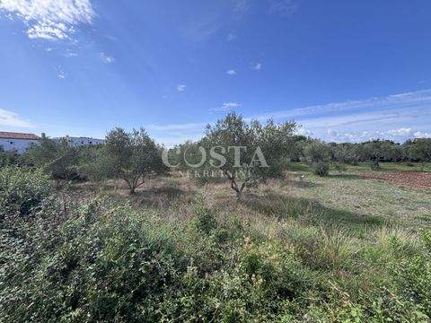 Sukosan Grundstücke, Sukosan Grundstück kaufen