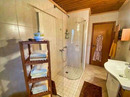 Modernes Tageslichtbad mit bodentiefer Dusche