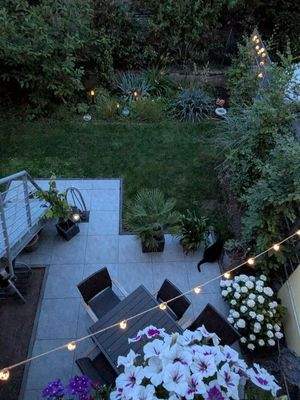 Garten/Terrasse