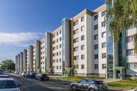 Dresden Wohnungen, Dresden Wohnung mieten