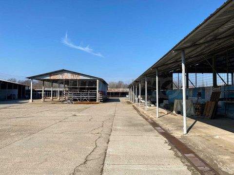 Vidin Renditeobjekte, Mehrfamilienhäuser, Geschäftshäuser, Kapitalanlage