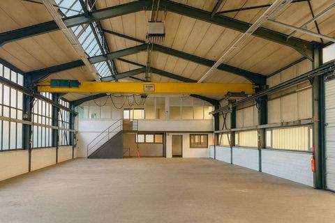 Fellbach Halle, Fellbach Hallenfläche