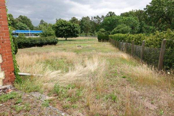 Grundstück Hinterland.jpg