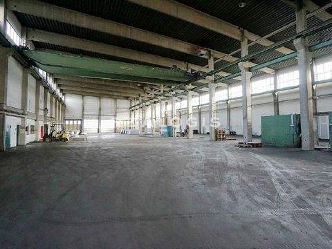 Frankfurt am Main Halle, Frankfurt am Main Hallenfläche