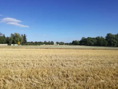 Eilenburg Grundstücke, Eilenburg Grundstück kaufen