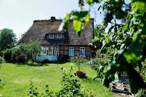 Himmelpforten , Niederelbe Häuser, Himmelpforten , Niederelbe Haus kaufen