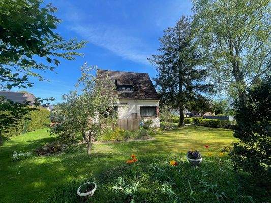 Blick aus dem Garten