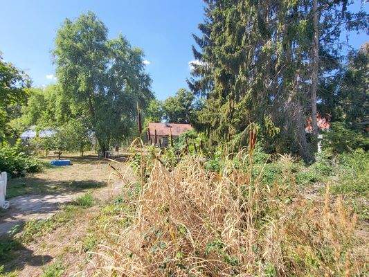 Blick auf das angrenzende Baugrundstück nach hinten