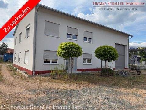 Roth Halle, Roth Hallenfläche