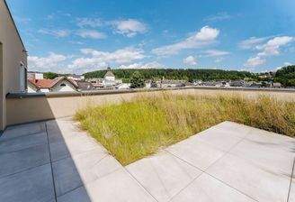 Terrasse mit Dachgarten