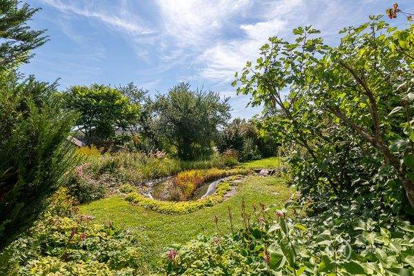 Rückzugsort im Grünen